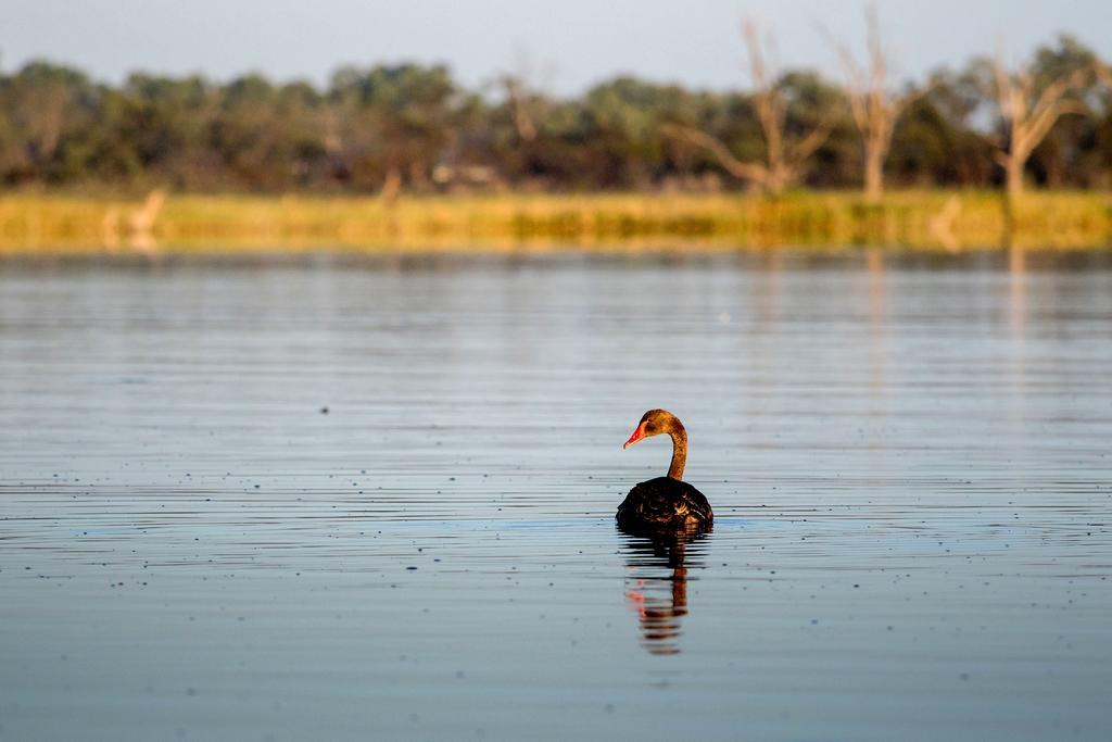Discovery Parks - Lake Bonney Barmera المظهر الخارجي الصورة